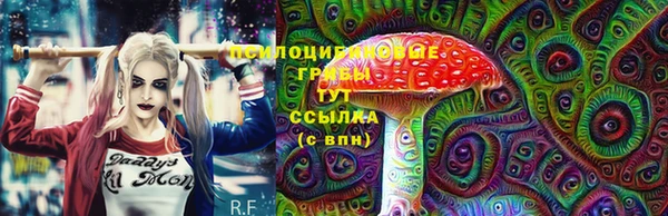сатива Балабаново