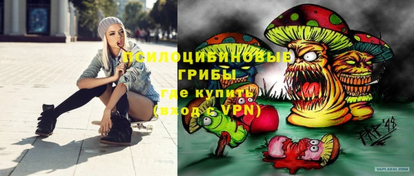 молекула духа Баксан