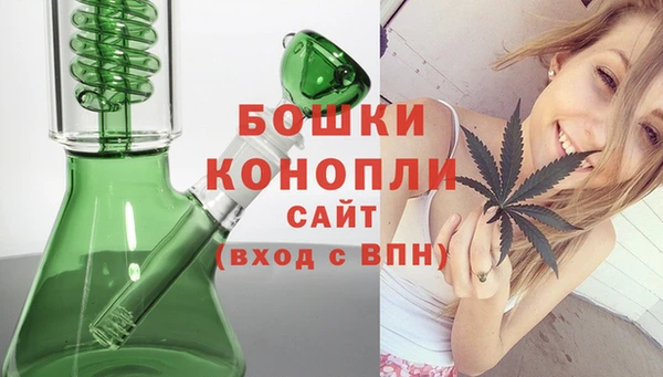 сатива Балабаново