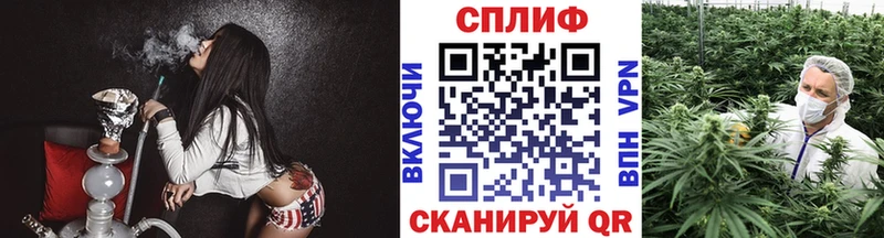 Конопля индика  Губаха 